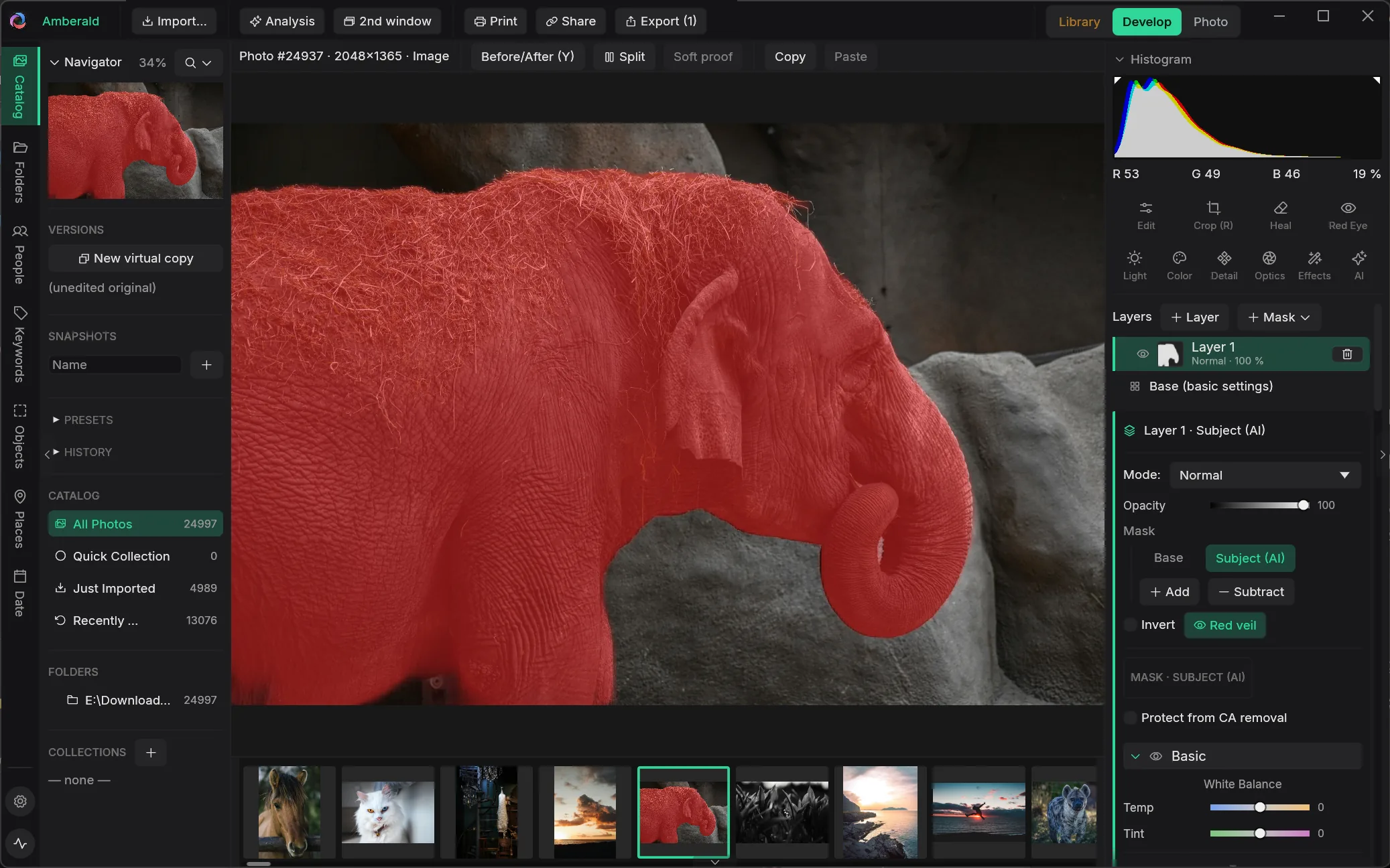 Amberald develop module with an AI subject mask highlighting an elephant in red overlay