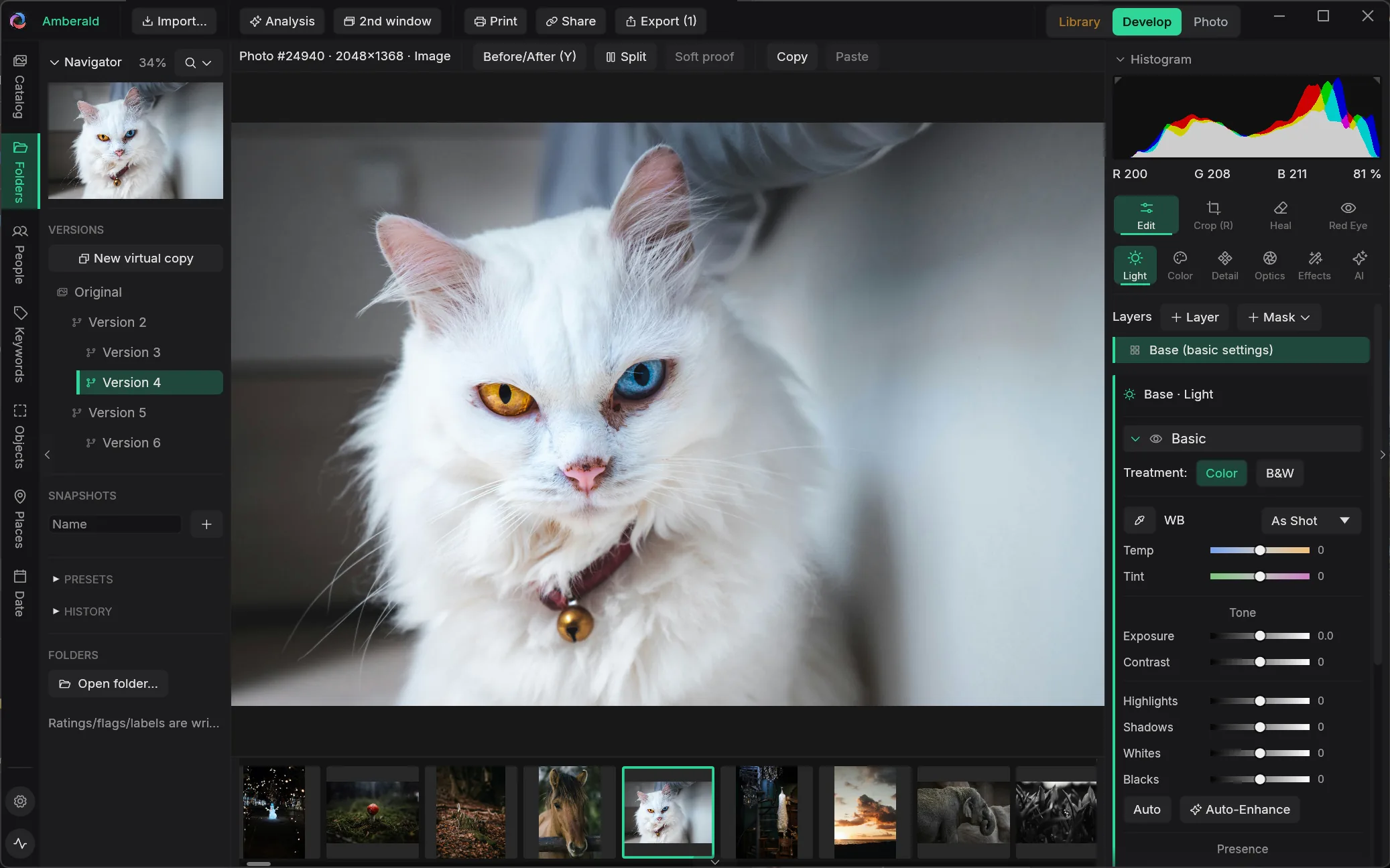 Amberald develop module with a white cat and a version tree from Original to Version 6 in the left panel