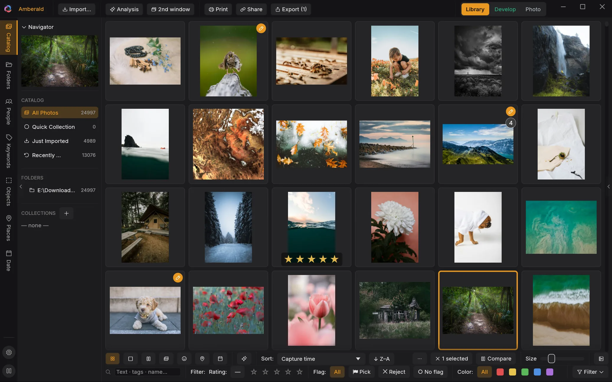 Amberald grid view with 24,997 photos in the catalog