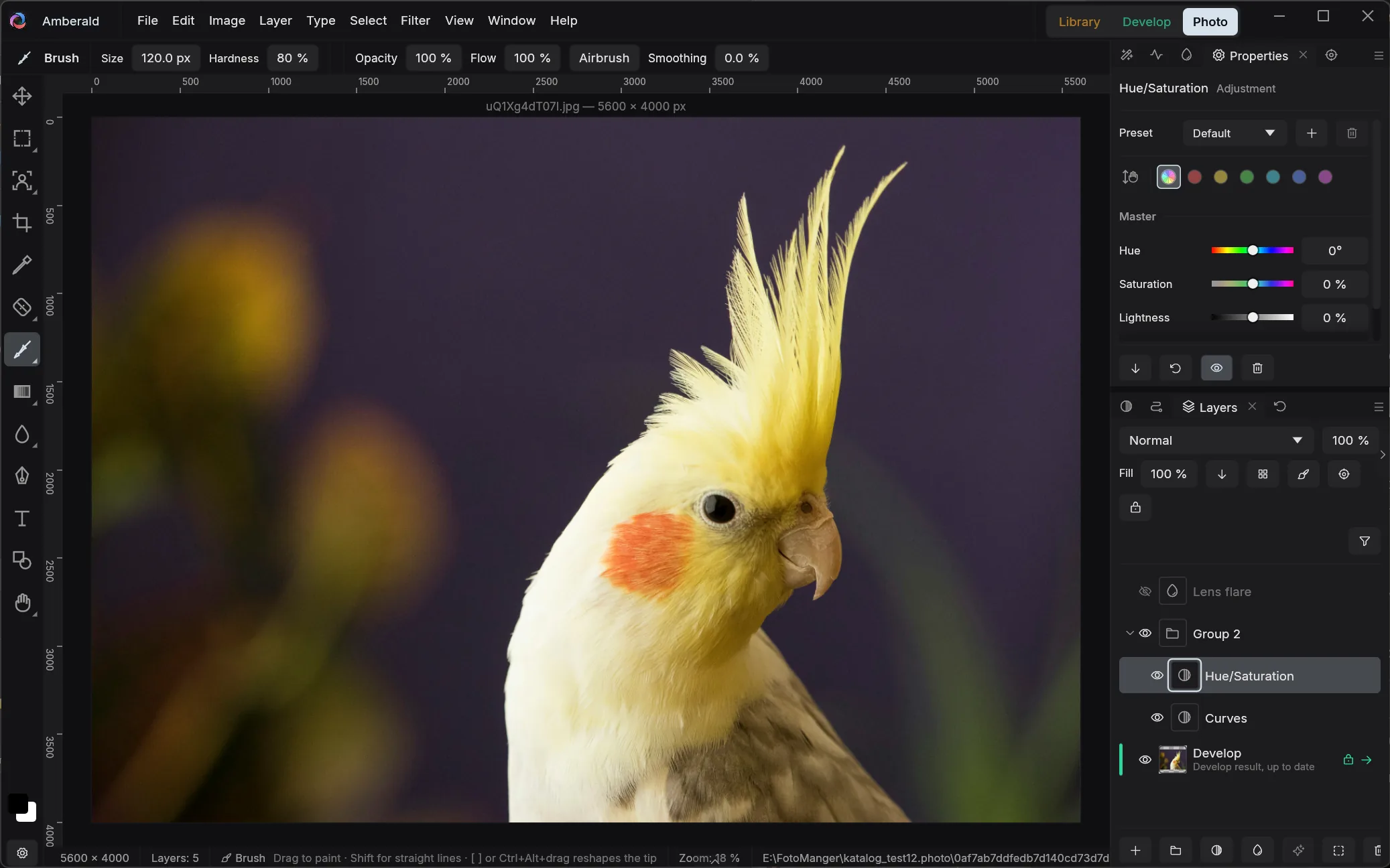 Amberald Photo module: canvas with a cockatiel photo, layers palette with a group of adjustment layers over the develop base, and the properties panel