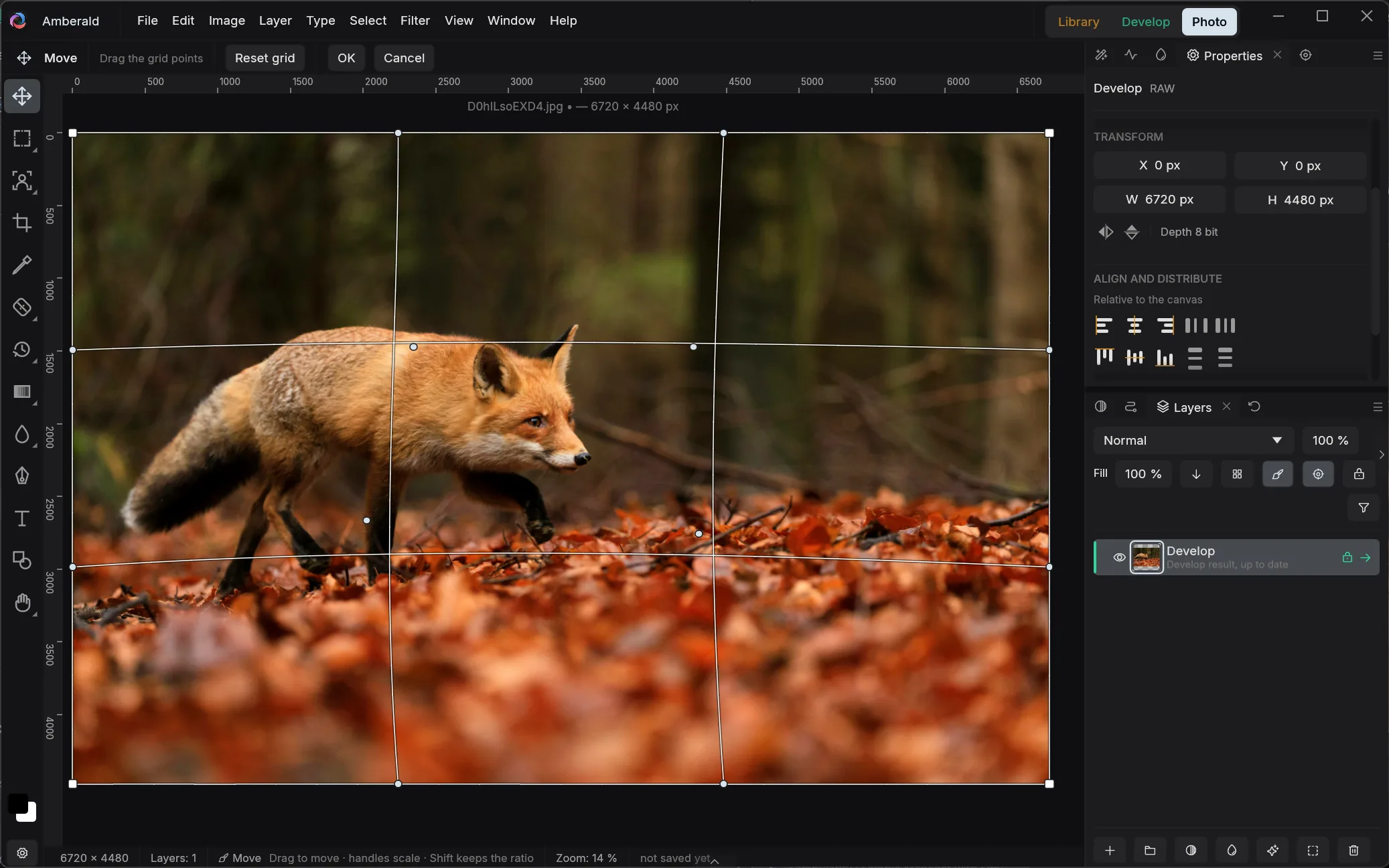 Amberald Photo module with the warp grid open over a photo of a fox in autumn leaves, four control points dragged